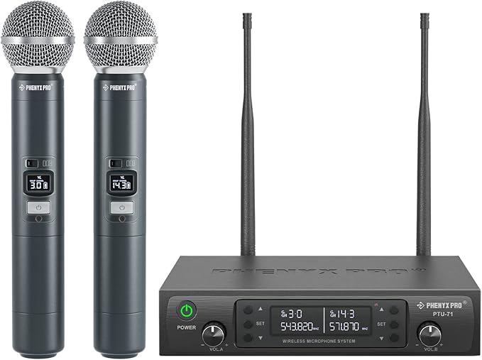 Microphone System 2 Channel